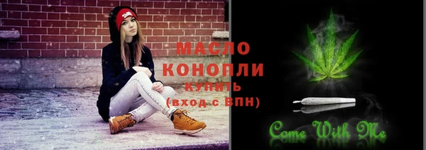 индика Дмитриев