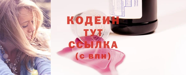 индика Дмитриев