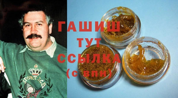 индика Дмитриев