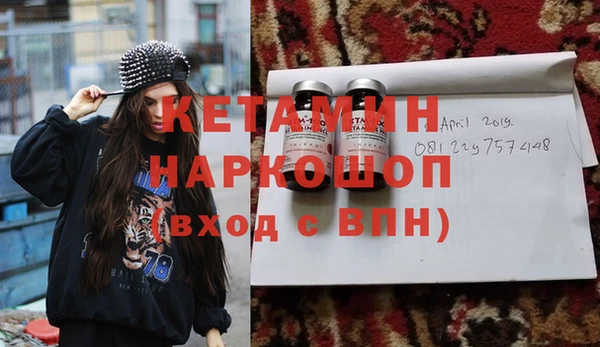 индика Дмитриев