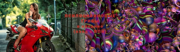 кокаин VHQ Ельня
