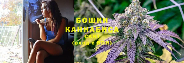 индика Дмитриев