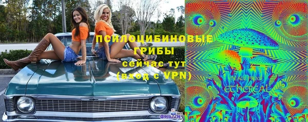 ешки Дмитровск