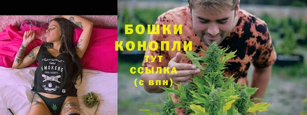 apvp Дмитров