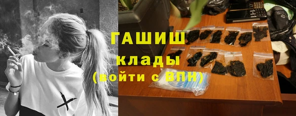 индика Дмитриев
