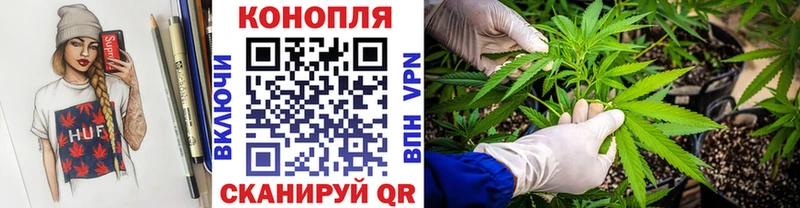 продажа наркотиков  Псков  Бошки Шишки план 